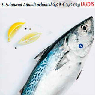 Allahindlus - 5. Sulatatud Atlandi pelamiid