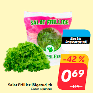 Allahindlus - Salat Frillice lõigatud, tk