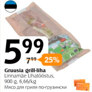 Allahindlus - Grusia grill-liha