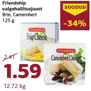 Allahindlus - Friendship valgehallitusjuust Brie, Camembert 125 g