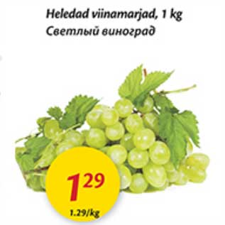 Allahindlus - Heledad viinamarjad, 1 kg