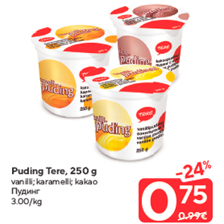 Allahindlus - Puding Tere, 250 g