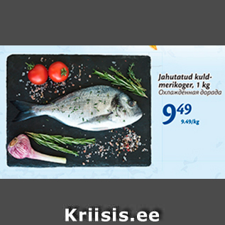 Allahindlus - Jahutatud kuldmerikoger, 1 kg