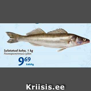 Allahindlus - Sulatatud koha, 1 kg