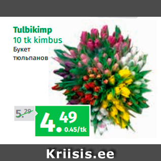 Allahindlus - Tulbikimp 10 tk kimbus