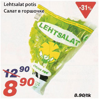 Allahindlus - Lehtsalat potis