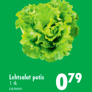 Allahindlus - Lehtsalat potis 1 tk