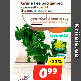 Allahindlus - Grüne Fee potitaimed