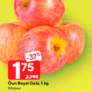 Allahindlus - Õun Royal Gala, 1 kg