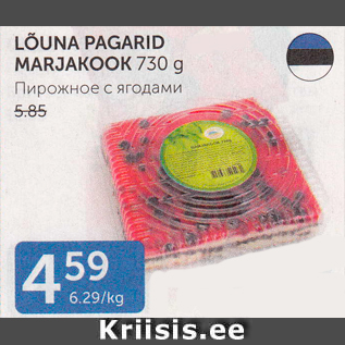 Allahindlus - LÕUNA PAGARID MARJAKOOK 730 g