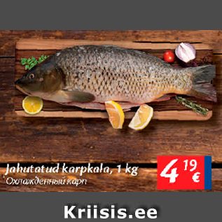 Allahindlus - Jahutatud karpkala, 1 kg