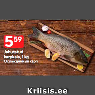 Allahindlus - Jahutatud karpkala, 1 kg