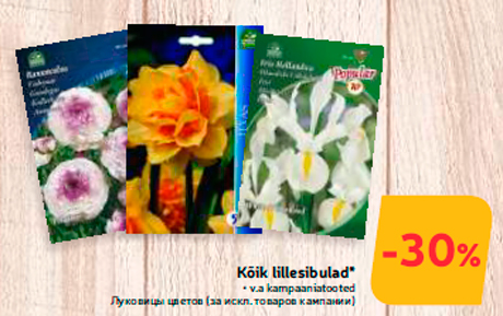 Kõik lillesibulad*  -30%