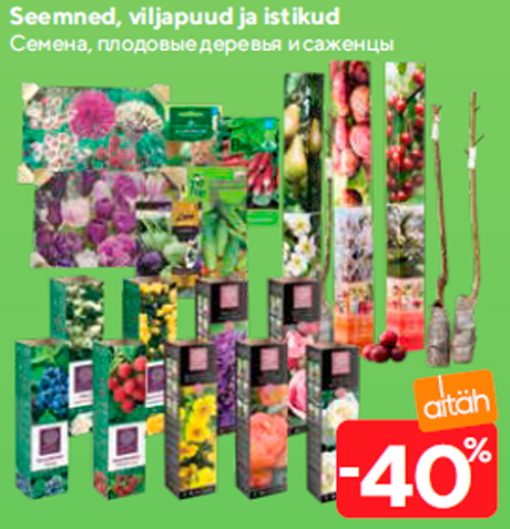 Seemned, viljapuud ja istikud  -40%