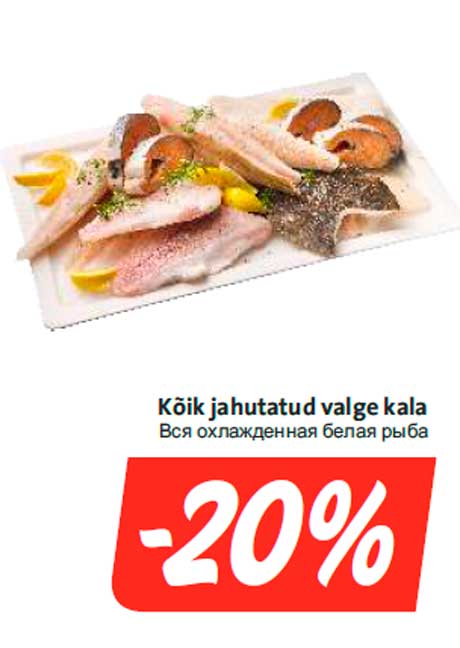 Kõik jahutatud valge kala -20%