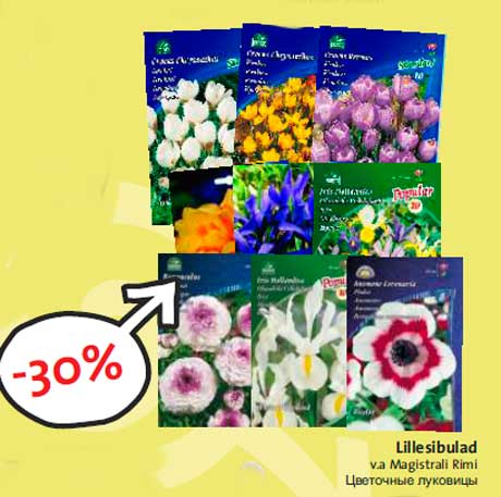 Lillesibulad -30%