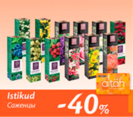 Istikud  -40%