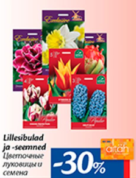 Lillesibulad ja -seemned  -30%