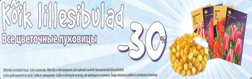 Lillesibulad -30%