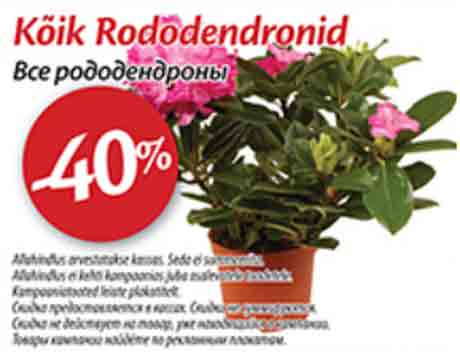 Kõik Rododendronid  -40%