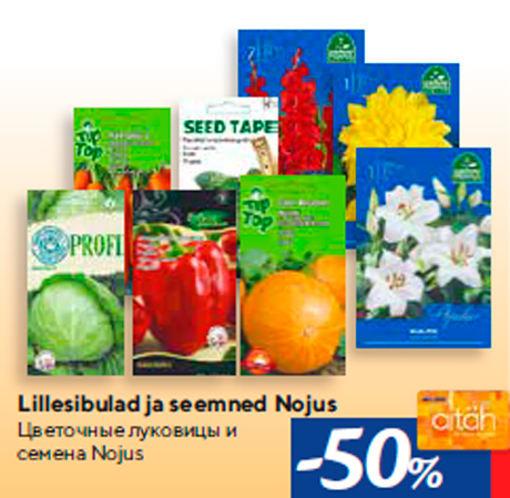 Lillesibulad ja seemned Nojus -50%