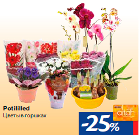 Potililled -25%