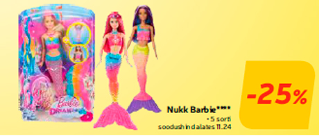 Nukk Barbie****  -25%