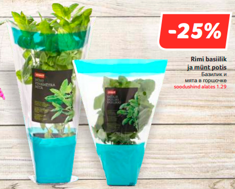 Rimi basiilik  ja münt potis  -25%