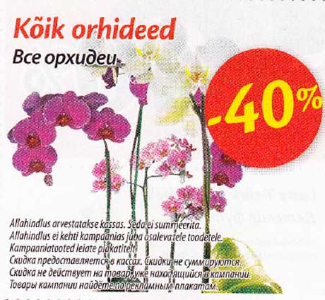 Kõik orhideed