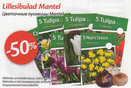 Lillesibulad Mantel -50%