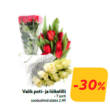 Valik poti- ja lõikelilli  -30%
