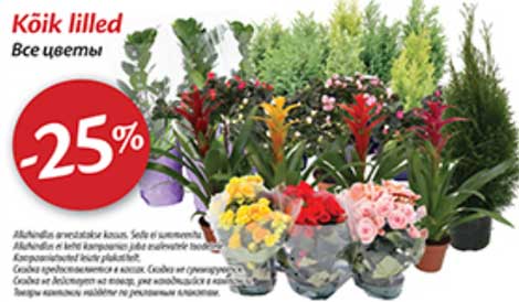 Kõik Lilled -25%