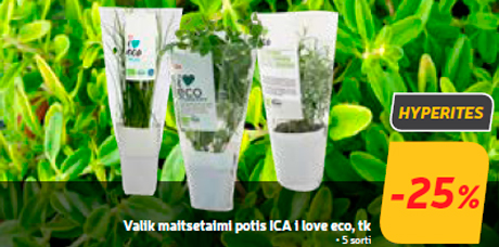 Valik maitsetaimi potis ICA i love eco, tk -25%