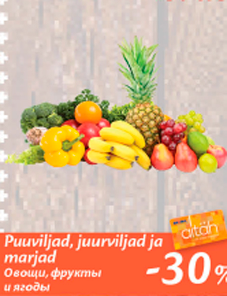 Puuviljad, juurviljad ja marjad  -30%