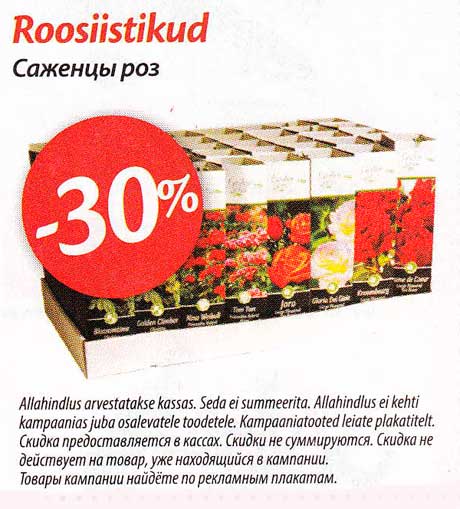 Roosiistikud  -30%