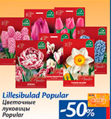 Lillesibulad Popular  -50%