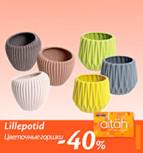 Lillepotid  -40%