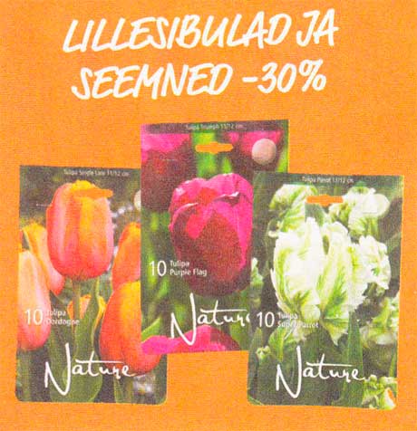 LILLESIBULAD JA SEEMNED  -30%