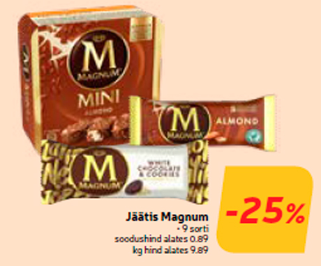 Jäätis Magnum -25%