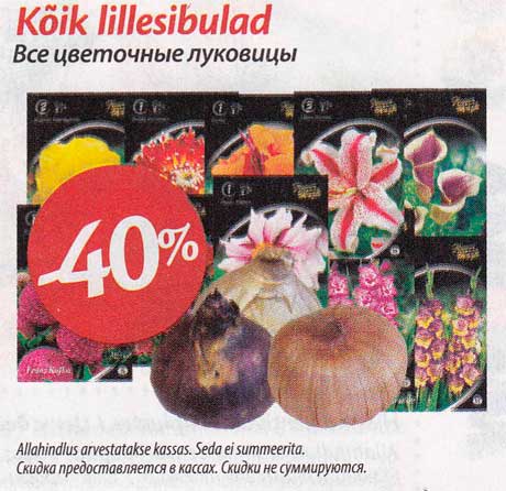 Kõik lillesibulad  -40%