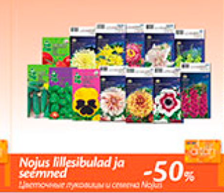 Nojus lillesibulad ja seemned  -50%