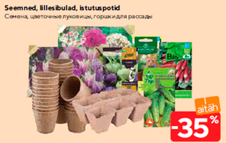 Seemned, lillesibulad, istutuspotid  -35%