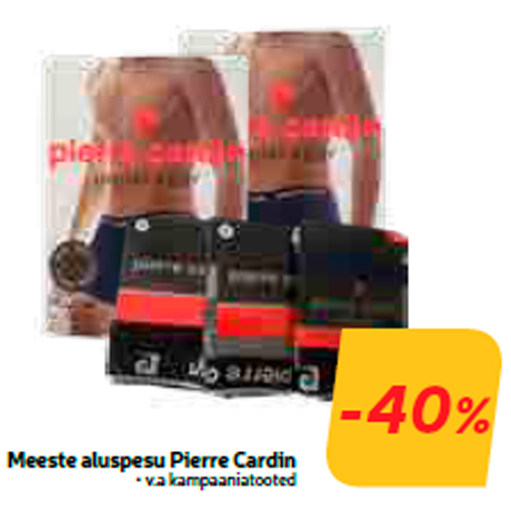 Meeste aluspesu Pierre Cardin  -40%
