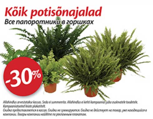 Kõik potisõnajalad -30%