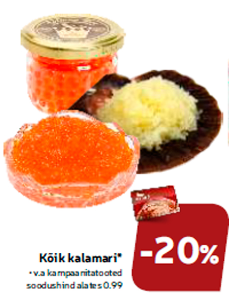 Kõik kalamari*  -20%