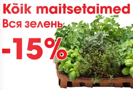 Kõik maitsetaimed  -15%