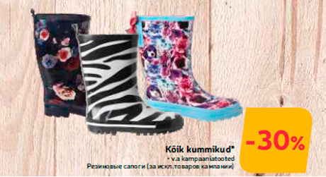 Kõik kummikud*  -30%