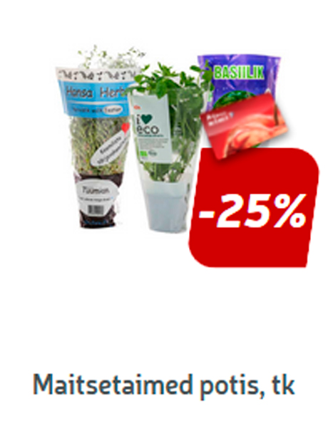 Maitsetaimed potis, tk*  -25%