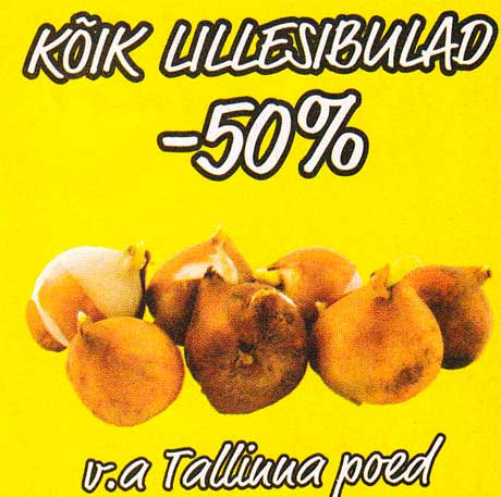 KÕIK LILLESIBULAD -50%