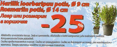 Harilik loorberipuu või Rosmarin -25%